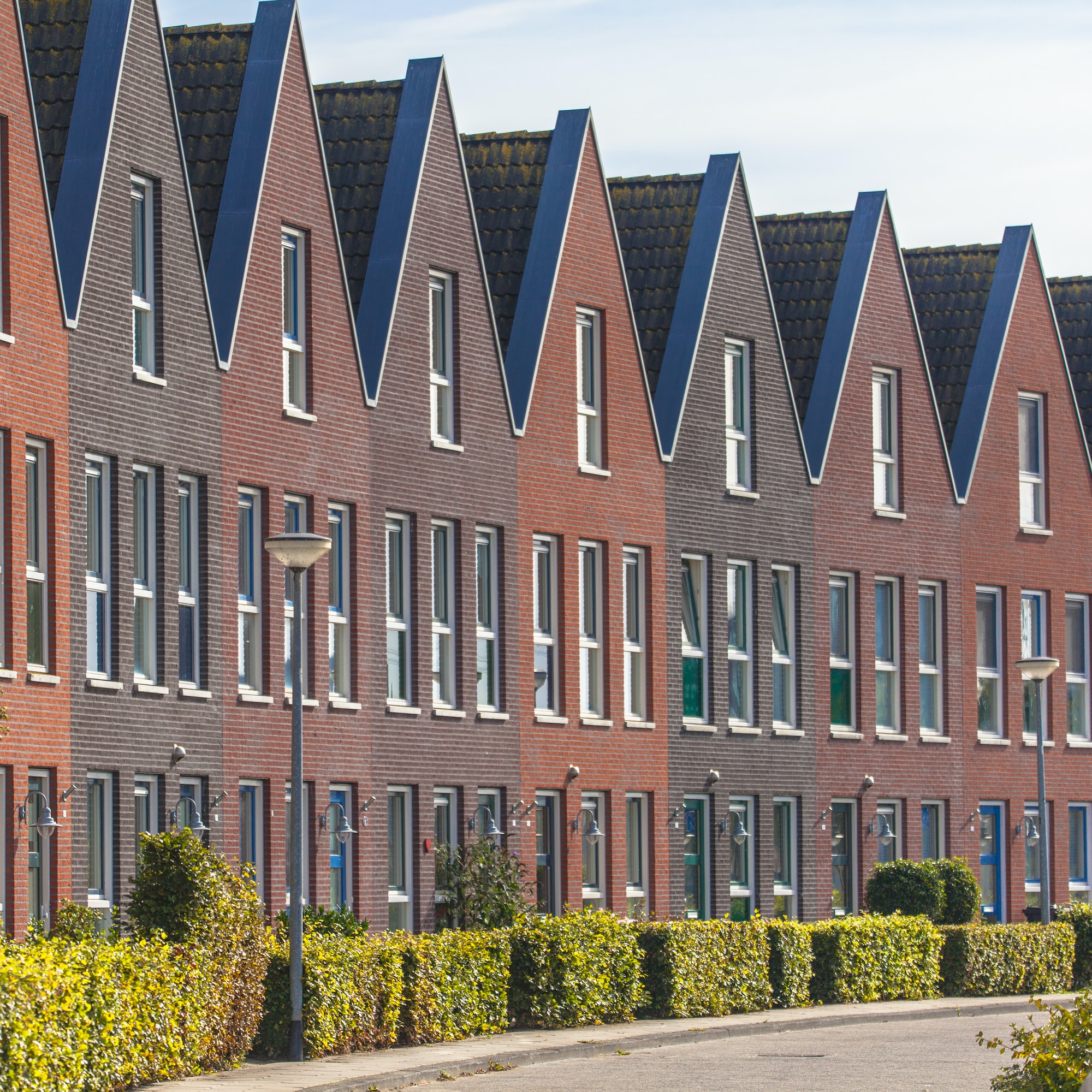 houses in a street with hedgerows in groningen